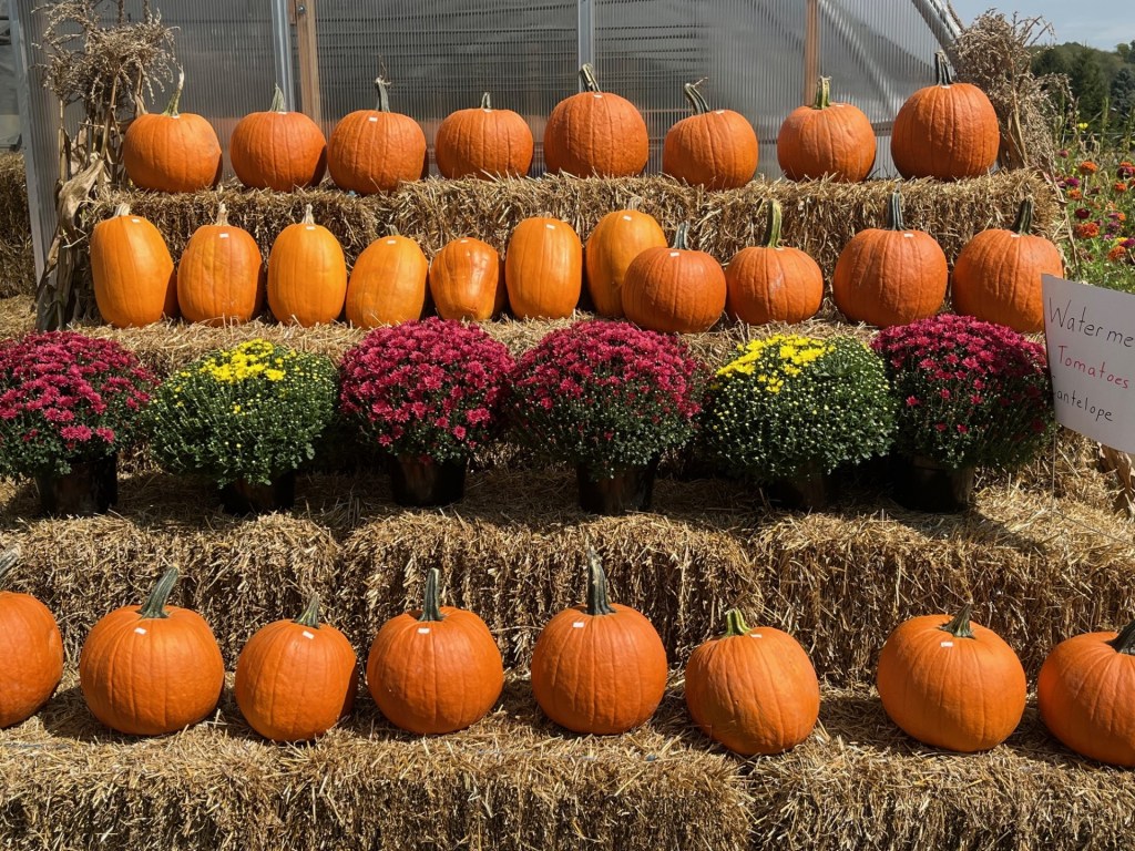 Quiet Innovation: Amish Entrepreneurs Harvest Business&nbsp;Success